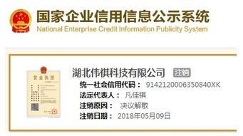 智萊科技前員工低價突擊入股疑云 供應商關聯(lián)與技術轉讓風險